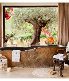 المنزل والحديقة